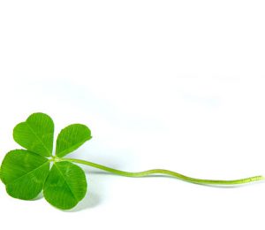 Four-leaved clover